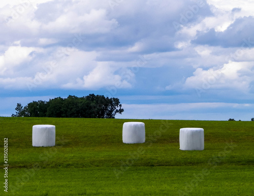 Canvastavla Sheaves of hay in a clearing. Haymaking in Kashubia.