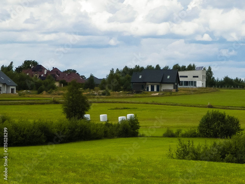 Sheaves of hay in the field.