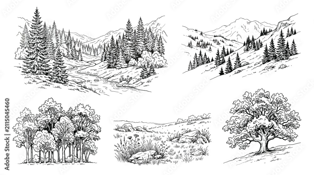 Obraz premium Set of hand drawn landscape illustrations with forest trees, mountains and meadow