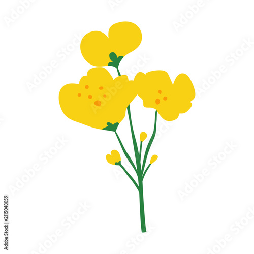 Hand drawn canola flower isolated on white background. Blooming rapeseed plant. Big yellow mustard flowers on stem. Oilseed rape. Great for cards, web design, posters, etc.