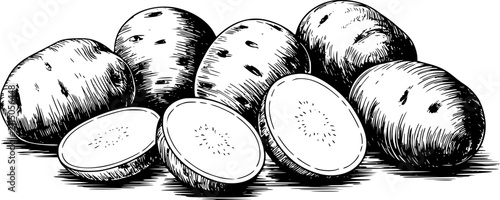 Fotografía Un dibujo detallado a tinta en blanco y negro de un grupo de patatas crudas ente