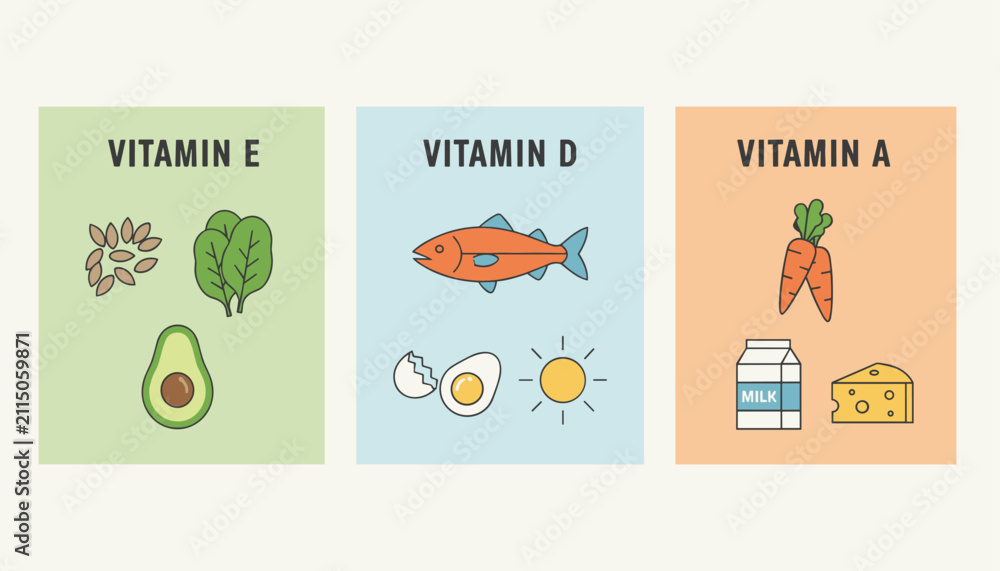 Fototapeta premium Infographic displaying food sources rich in vitamin E vitamin D and vitamin A