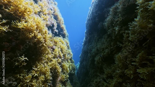 POV underwaater landscape - Scuba diving in Majorca