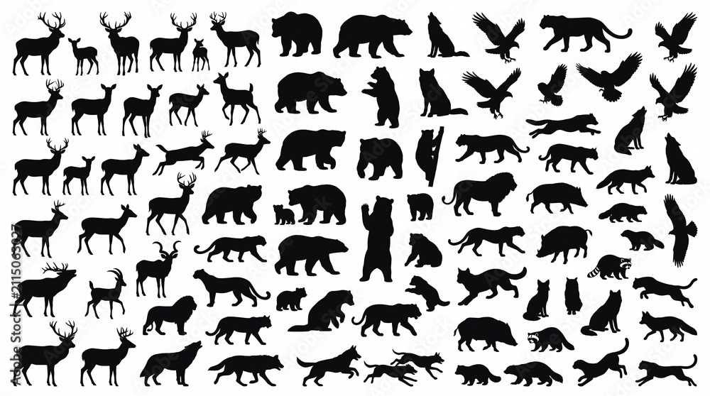 Fototapeta premium 100 Hunting Wildlife Animal Silhouettes | Black Outdoor Image Collection
