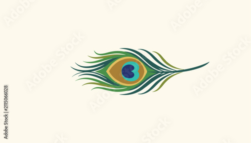 Detailed peacock feather vector illustration isolated on light neutral background