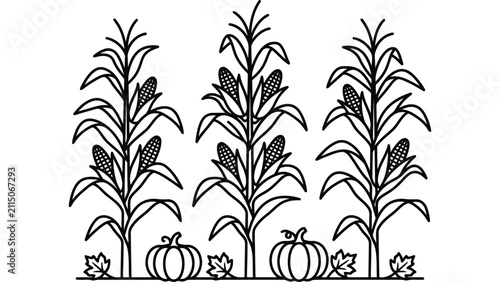 Corn field with pumpkins and autumn leaves. Harvest season line art vector illustration.