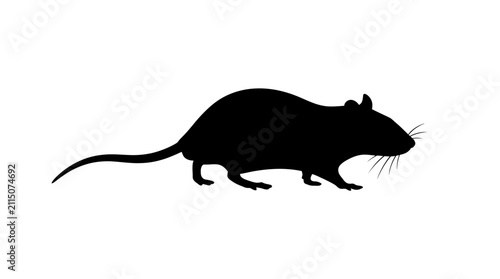 Bild auf Leinwand Rat Silhouette Against A White Background Silhouette