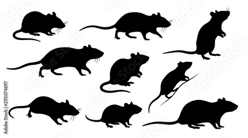 Bild auf Leinwand Collection Of Rat Silhouettes In Various Poses Black Silhouette