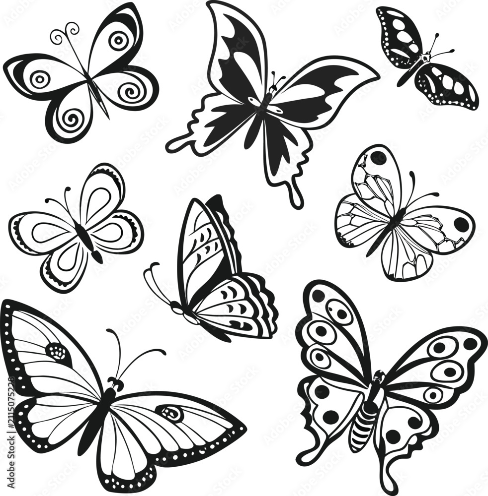 Fototapeta premium Black and White Butterfly Design Elements Vector Collection Set