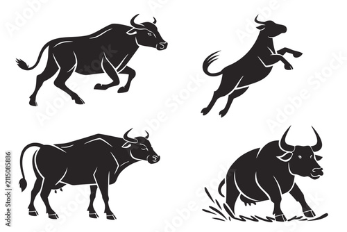 Four black bulls or cows standing and walking in different poses