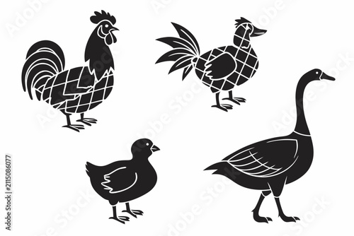 Five different birds standing side by side illustration