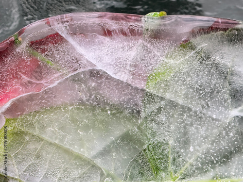 Foto Green leaves are encased in clear, transparent ice