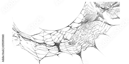 Foto Curved Underside Spider Web Sketch Illustration, Hand Drawn Cobweb Line Art with