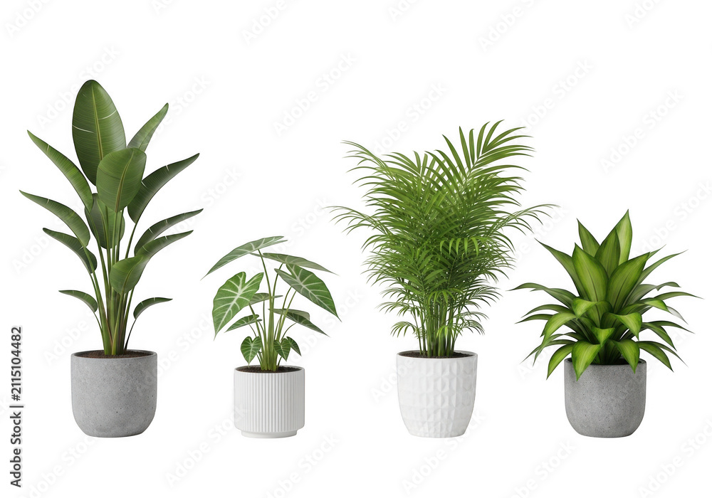 Fototapeta premium Collection of various indoor house plants in pots isolated on transparent background