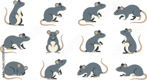 Collection of flat vector icons depicting grey rats in diverse poses isolated on a clean white background design