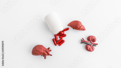 Obraz na plátně Creative representation of human organs with supplements for health concept