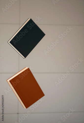Two hardcover books one dar...