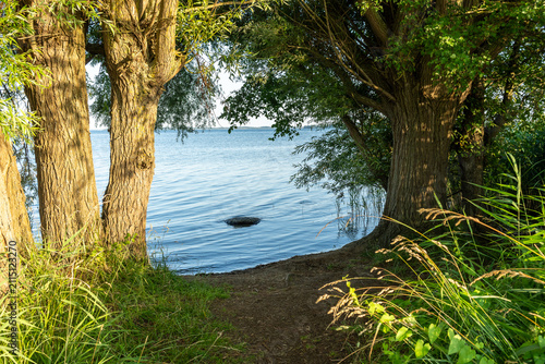 Badestelle an der Müritz bei dem Sembzin