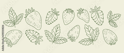 Hand-drawn illustration of various strawberries and leaves arranged in a decorative pattern on a light beige background, showcasing different shapes and sizes