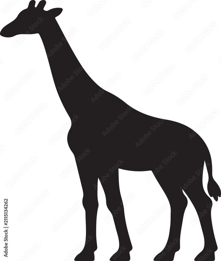 Fototapeta premium Elegant black giraffe silhouette standing tall with long neck, silhouette
