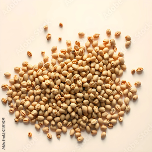 Pile of dried light brown s...