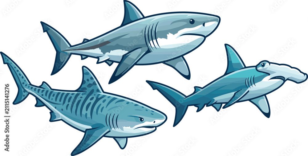Fototapeta premium Realistic Shark Species Collection Featuring Great White Tiger and Hammerhead Vector Illustration