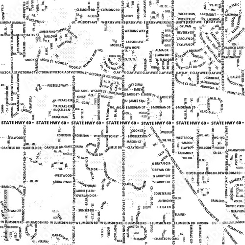 Quadro su tela Typographic Map of the City Brandon (Florida, USA) showing the city center only