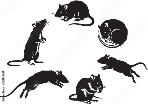 A set of rats. Hand drawn vector illustration