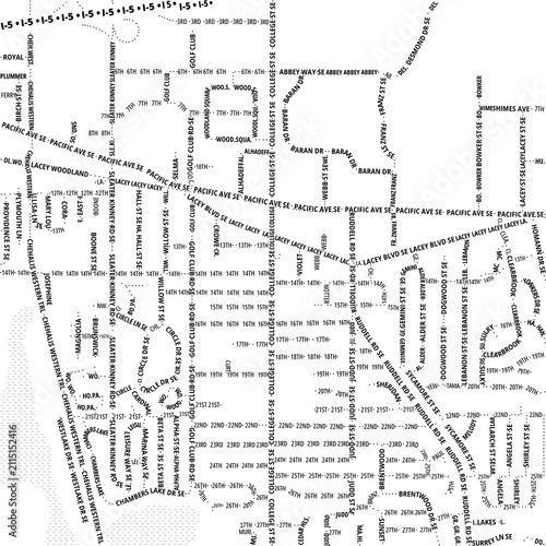 Fotografía Typographic Map of the City Lacey (Washington, USA) showing the city center only