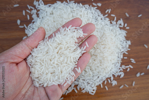 Close up of human hand holding raw Thai Jasmine rice grains, Quality rice concept