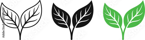 Stylized leaf illustrations in three different designs