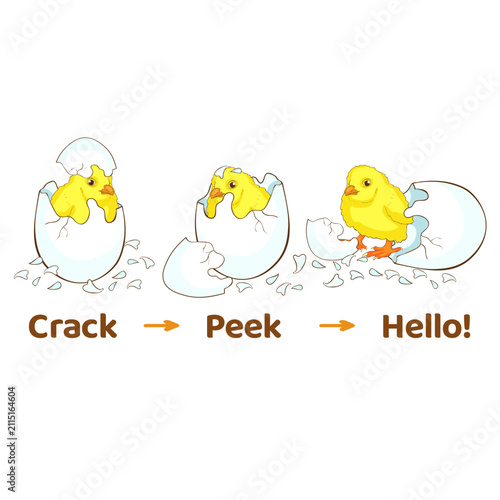 Baby Chick Hatching Stages – Crack, Peek, Hello vector illustration