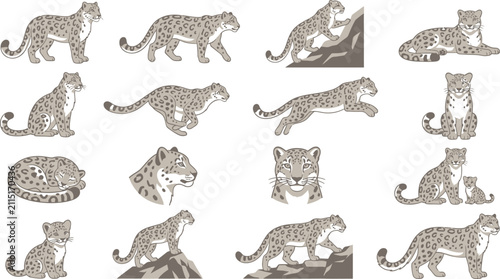 Set of flat vector illustrations featuring snow leopards in various poses and actions for wildlife design projects