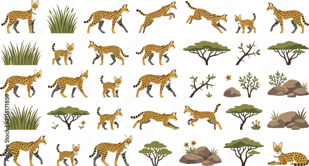Obraz premium Set of serval wild cat illustrations in diverse poses with savannah trees and natural landscape environment