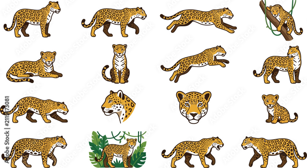 Obraz premium Sixteen flat vector illustrations of jaguars displaying different active poses and expressions on white background