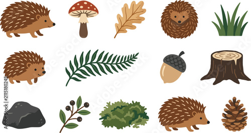 Collection of cute hedgehog animal illustrations and woodland nature elements for organic forest themed graphics
