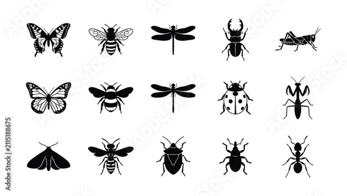 Black and white insect illustration set