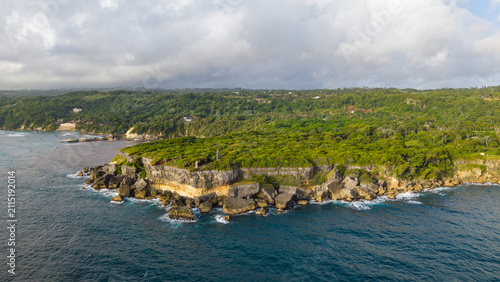 Aerial view of Cabo Frances Viejo, featuring lush green cliffs, dense vegetation, and turquoise waters meeting the Atlantic Ocean in Cabrera, Maria Trinidad Sanchez, Dominican Republic.
