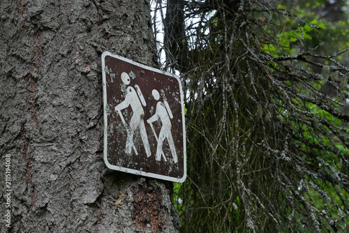 Weathered brown and white trail marker sign depicting two hikers is mounted to the bark of a large tree trunk, surrounded by dense evergreen branches. 