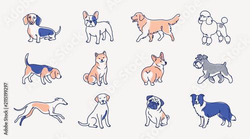 Minimal dog breed vector illustration set in modern line art drawing style