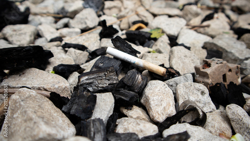 Bild auf Leinwand Cigarette thrown away Among Rocks