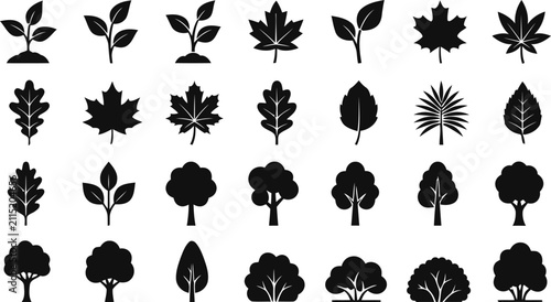 Botanical tree leaves saplings and forest trees vector silhouette collection for wall art