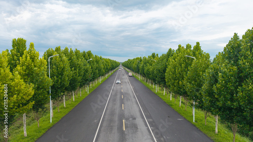 Bild auf Leinwand Straight asphalt highway lined with symmetrical green trees and driving cars und
