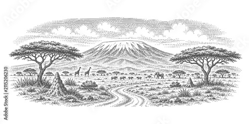 Photography African Tanzania savanna landscape