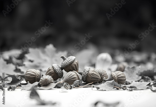 Autumn acorns and dried lea...