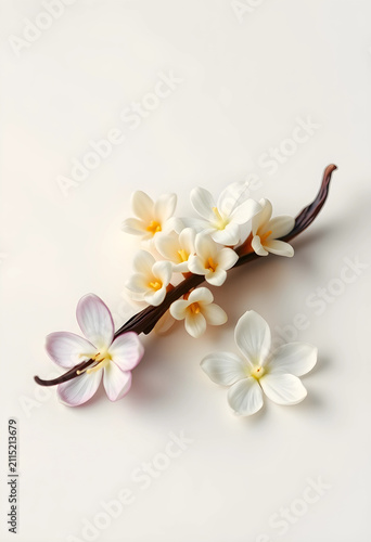 Vanilla bean with delicate ...