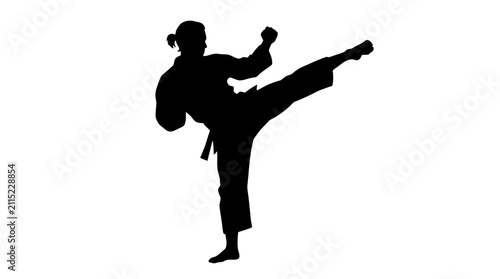 Martial artist silhouette performing a kick against a white background
