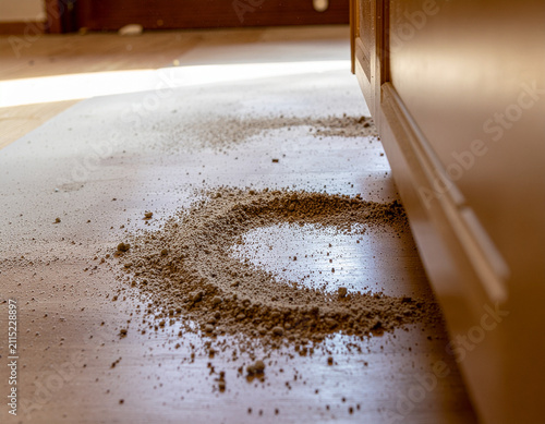 close up shot of a pile of dust and dirt gathered on a wooden floor near a cabinet base during home cleaning