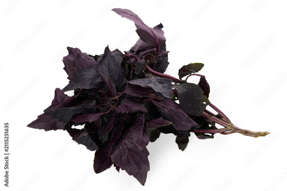 Naklejka premium Fresh Cluster of Purple Basil Herbs on White Background