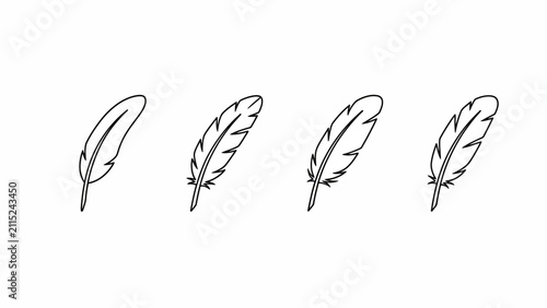 Hand-drawn feather step-by-step drawing tutorial vector illustration guide